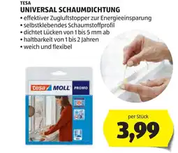 Hofer Tesa universal schaumdichtung Angebot