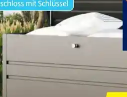 Hofer GFP Freizeitbox Angebot