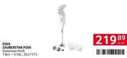Transgourmet Esge zauberstab p200 Angebot