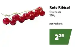 Eurogast Grissemann Rote Ribisel Österreich Angebot