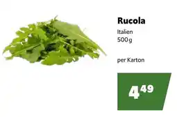 Eurogast Grissemann Rucola Angebot