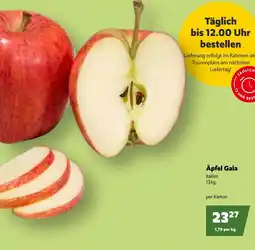 Eurogast Grissemann Äpfel Gala Angebot