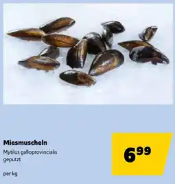 Eurogast Grissemann Miesmuscheln Angebot