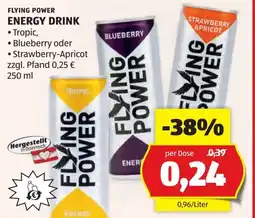 Hofer Flying power energy drink Angebot