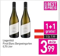 Sutterlüty Liegenfeld pinot blanc bergweingarten Angebot
