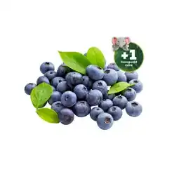 PENNY Heidelbeeren Penny Angebot