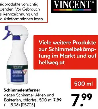 Hellweg Vincent Schimmelentferner Angebot