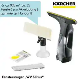 Hellweg Fenstersauger WV 5 Plus Angebot