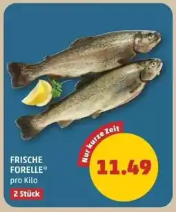 PENNY Frische Forelle Angebot