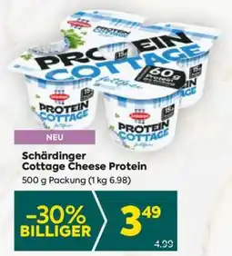 Billa Schärdinger Cottage Cheese Protein Angebot