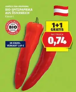 Hofer BIO-SPITZPAPRIKA AUS ÖSTERREICH Angebot