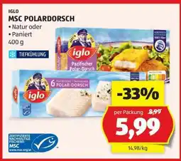 Hofer MSC POLARDORSCH Angebot