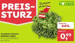 ADEG Endivien Salat KL Angebot