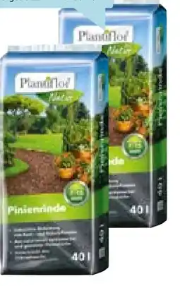 Hellweg Plantiflor Pinienrinde Angebot