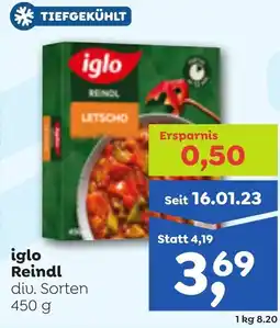 ADEG Iglo reindl Angebot