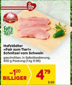 Billa Hofstädter Fair zum Tier Schnitzel vom Schwein Angebot