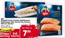 Billa Iglo atlantik lachs, forelle, wolfsbarsch, goldbrasse, asc, dorsch div. sorten, msc od. zander Angebot