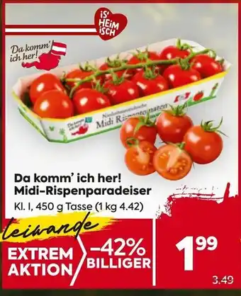 Billa Da komm' ich her! Midi-Rispenparadeiser Angebot