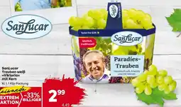Billa Sanlucar trauben weiß .>>viktoria<< mit kern Angebot