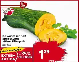 Billa Da komm' ich her! speisekürbis piena di napoli Angebot