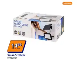 Action Solar-Strahler Angebot
