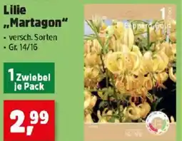 Thomas Philipps Lilie Martagon Angebot