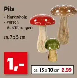Thomas Philipps Pilz Angebot
