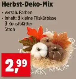 Thomas Philipps Herbst-Deko-Mix Angebot