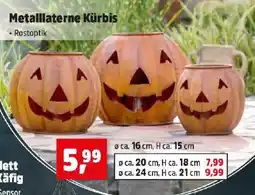 Thomas Philipps Metalllaterne Kürbis Angebot