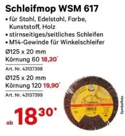Lagerhaus Schleifmop wsm 617 Angebot