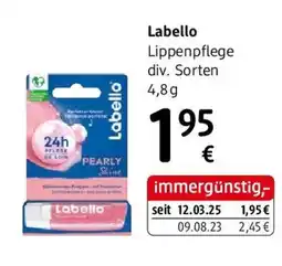 dm Labello Angebot