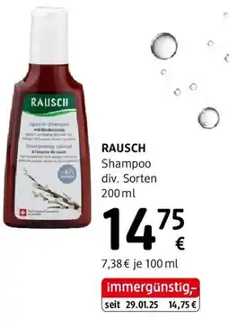 dm Rausch Angebot