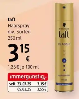 dm Taft haarspray Angebot