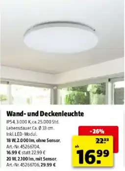 Hagebau Wand- und Deckenleuchte Angebot