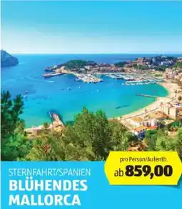 Hofer Reisen Sternfahrt/spanien blühendes mallorca Angebot