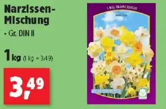 Thomas Philipps Narzissen- Mischung Angebot