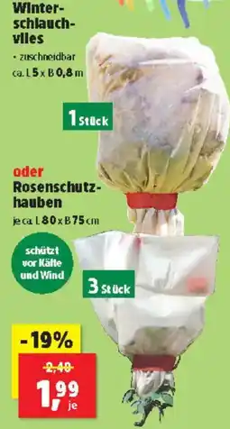 Thomas Philipps Winter- schlauch- viles Angebot