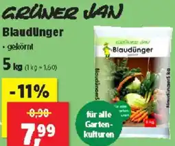 Thomas Philipps GRÜNER JAN BlaudUnger Angebot