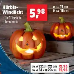 Thomas Philipps Kurbis- Windlicht Angebot