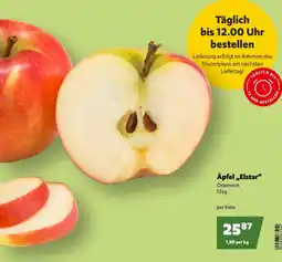 Eurogast Grissemann Äpfel Elstar Angebot