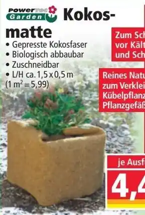 Norma Kokos matte Angebot