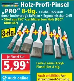 Norma Holz Profi Pinsel Angebot