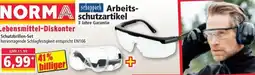 Norma Schutzbrillen Set Angebot