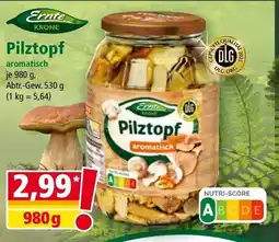 Norma Pilztopf Angebot