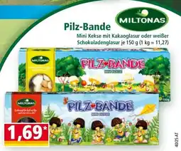 Norma Pilz Bande Angebot