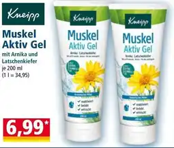 Norma Muskel Aktiv Gel Angebot