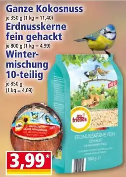 Norma Ganze Kokosnuss Angebot