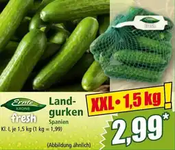 Norma Land gurken Angebot