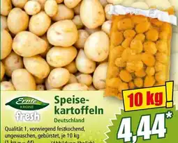 Norma Speise kartoffeln Angebot