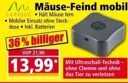 Norma Mäuse Feind mobil Angebot